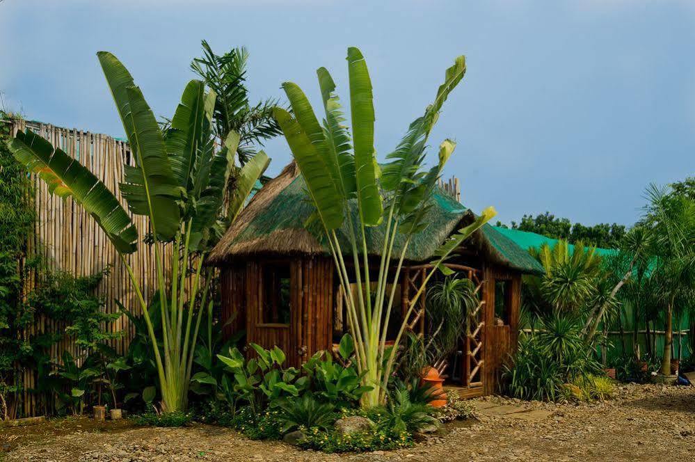 Oyo 678 Blessie'S Bed And Breakfast Puerto Princesa Exterior photo